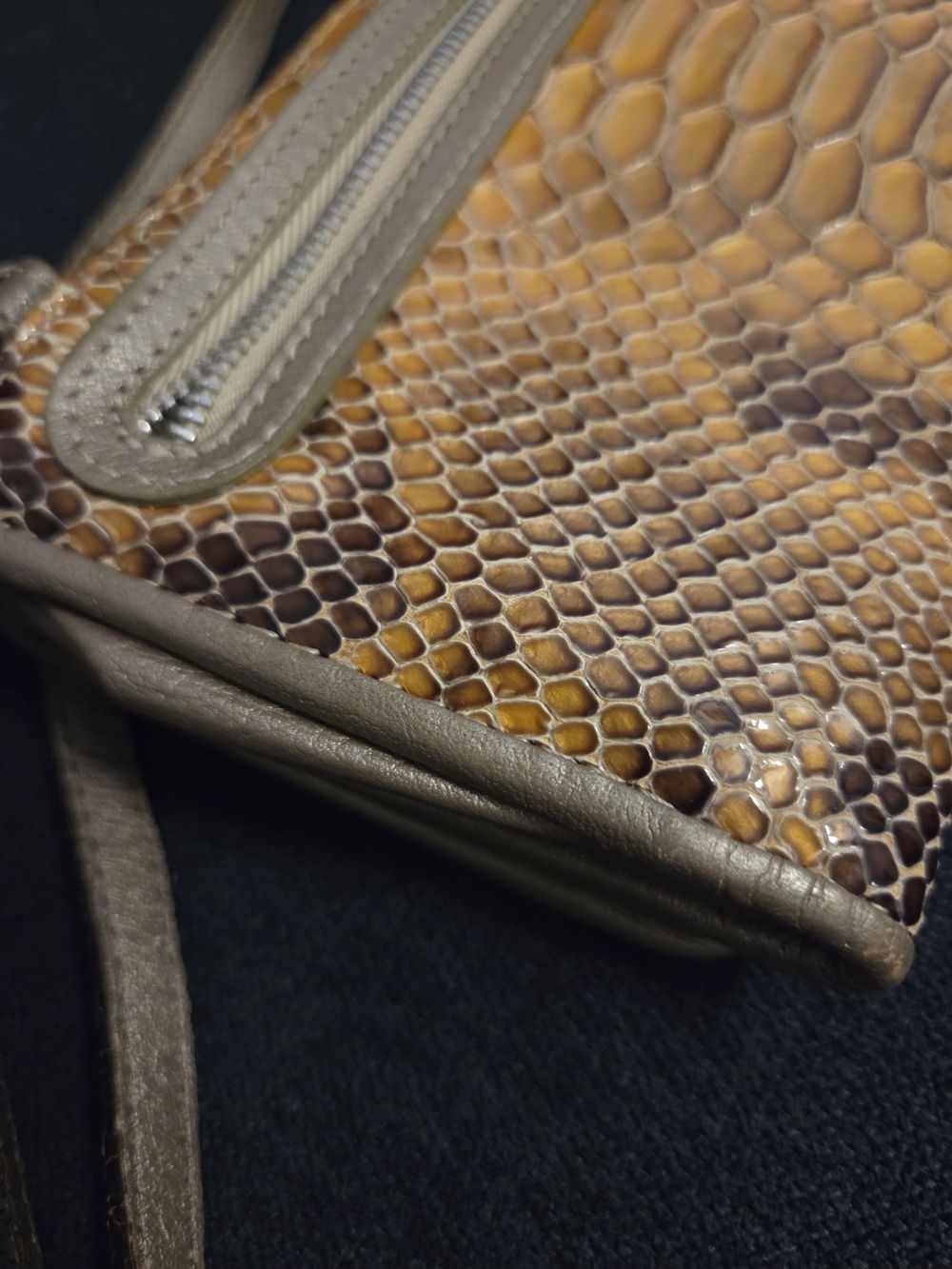 Brighton Gold Snake-Embossed Crossbody Wallet with Silver-Tone Accent - Picture 14 of 14